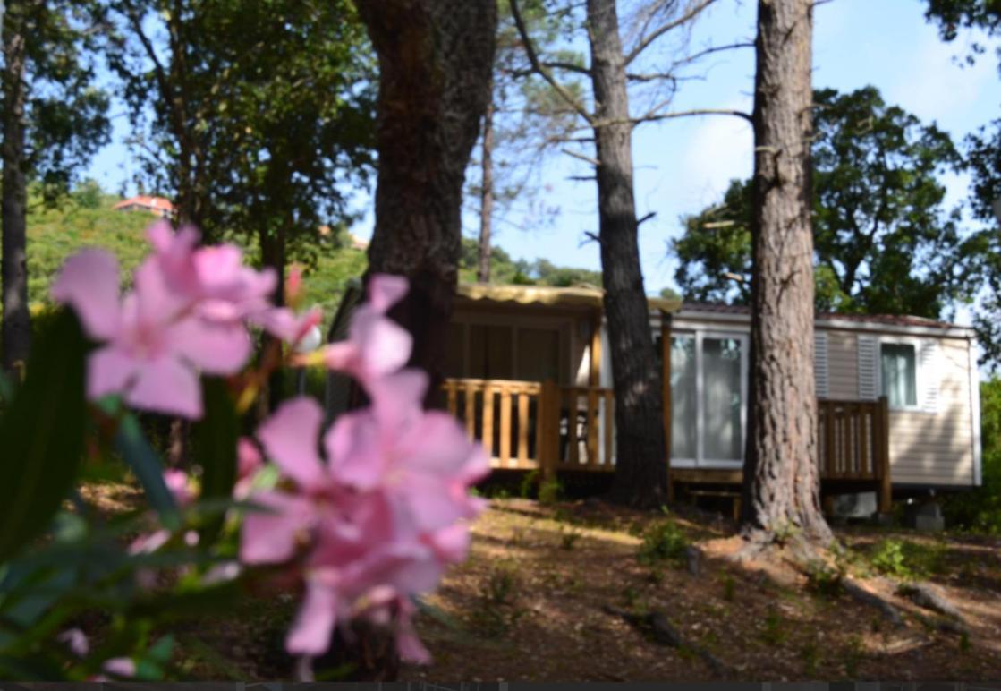 Residence Les Pavillons Du Golfe Favone Zewnętrze zdjęcie